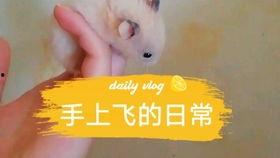 吃瓜娱乐背景板,揭秘娱乐圈幕后那些事儿