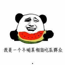 娱乐吃瓜君大型双标,大型双标盛宴，揭秘娱乐圈真相与偏见