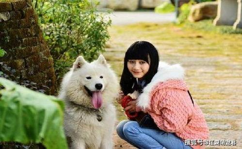 娱乐吃瓜酱女生养的狗,揭秘娱乐吃瓜酱女生的心头爱宠