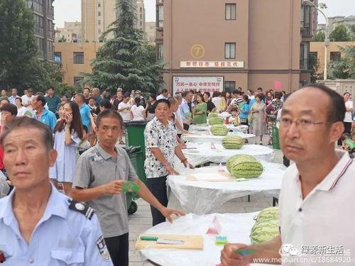 娱乐吃瓜场所,那些你不知道的“吃瓜”圣地