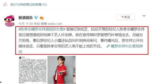 满级大佬在娱乐圈吃瓜,满级大佬的瓜田盛宴