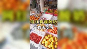 吃瓜娱乐机,带你领略趣味互动新体验