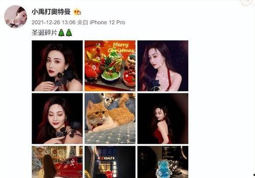 娱乐吃瓜君颜值对比小说,娱乐吃瓜君与小说角色颜值大比拼