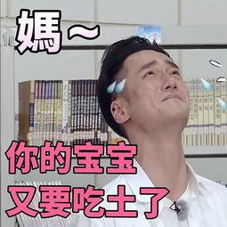 娱乐吃瓜表情图片,笑翻你的表情瞬间