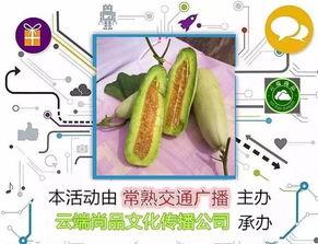 娱乐圈吃羊角瓜,娱乐圈明星的羊角瓜美食之旅