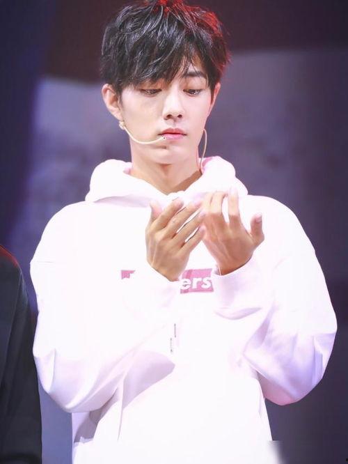 娱乐圈爆料吃瓜肖战,娱乐圈爆料中的瓜王传奇