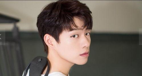 王晨正娱乐吃瓜酱,揭秘娱乐圈幕后故事