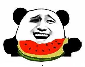 娱乐吃瓜酱拒绝白嫖,守护原创精神