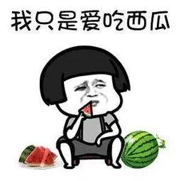 瓜地吃瓜娱乐圈